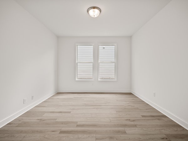 EF142 Maplewood Study