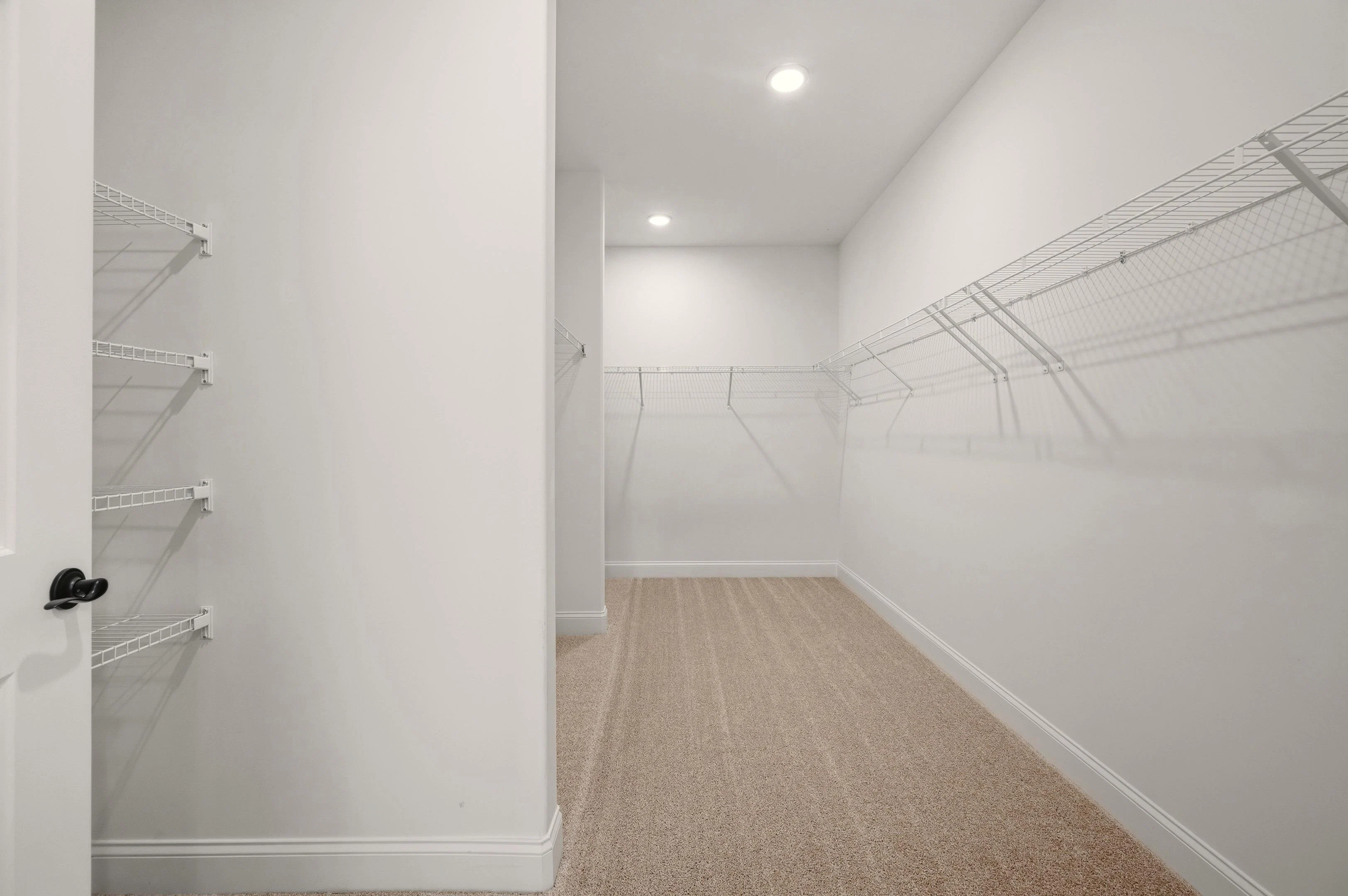 EF248 - Cedarwood WIC